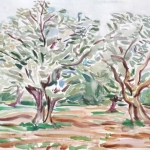 Olive Trees III